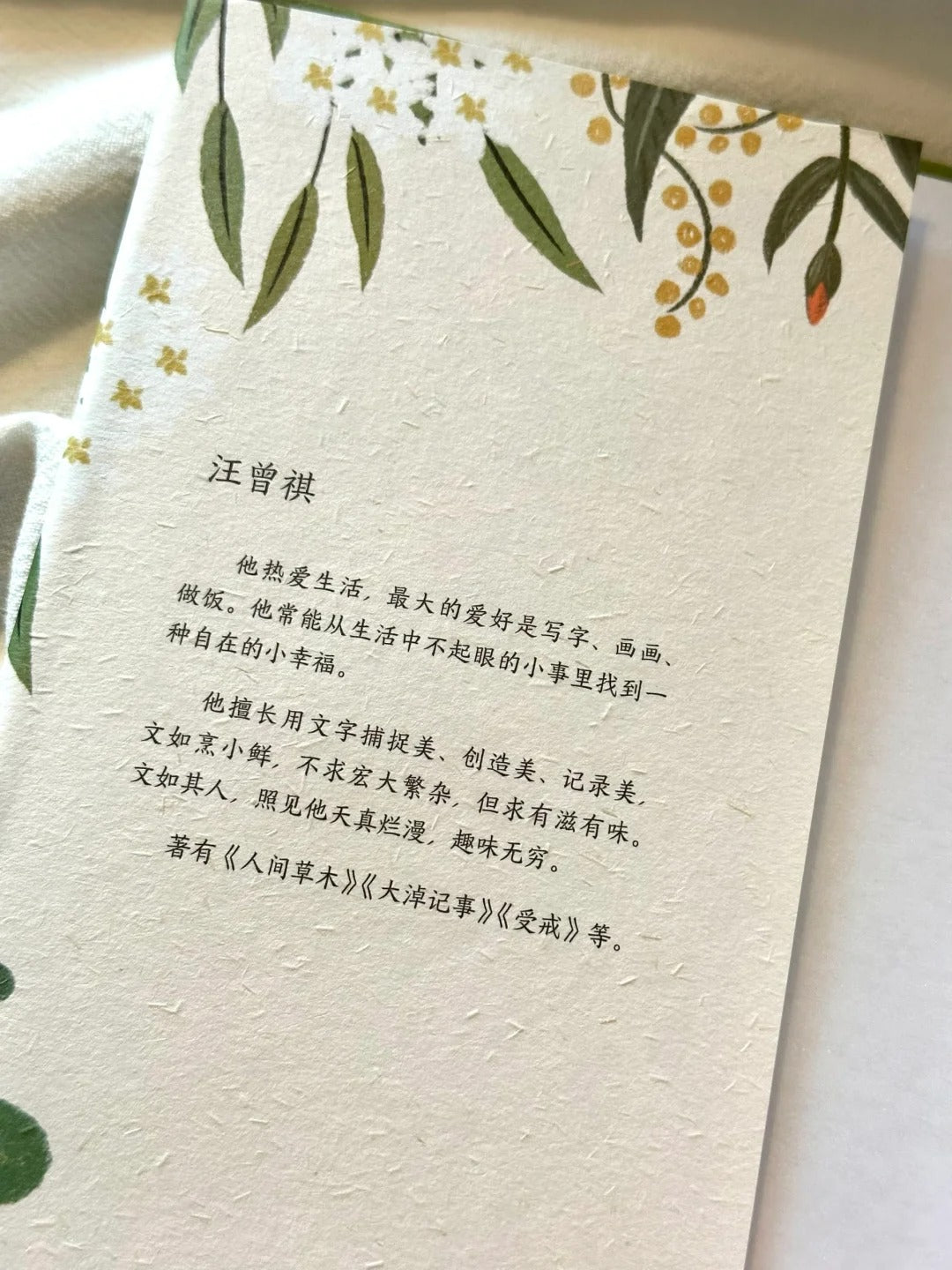 人间草木 纪念汪曾祺诞辰100周年经典集