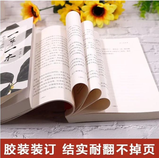 【买4送1】一食一味 做个快活的人
